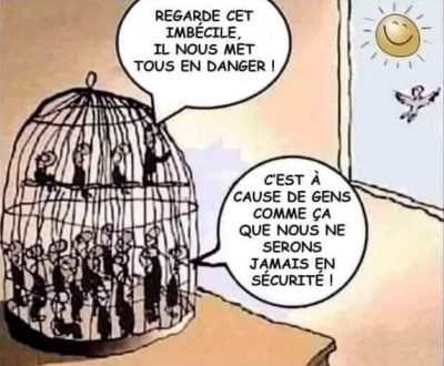 Sécurité vs liberté (cage oiseaux) Sécurité vs liberté (cage oiseaux)